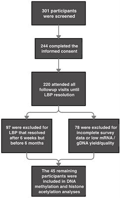 A Role for Global DNA Methylation Level and IL2 Expression in the Transition From Acute to Chronic Low Back Pain